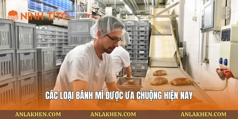 Các loại bánh mì được ưa chuộng hiện nay