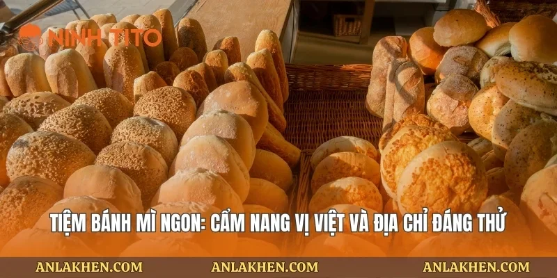 Tiệm Bánh Mì Ngon: Cẩm Nang Vị Việt Và Địa Chỉ Đáng Thử