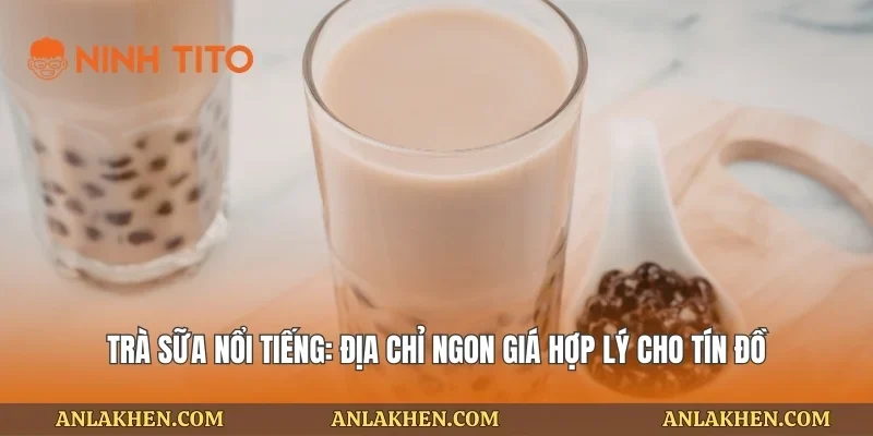 Trà Sữa Nổi Tiếng: Địa Chỉ Ngon Giá Hợp Lý Cho Tín Đồ